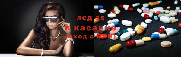 прущие грибы Каменск-Шахтинский