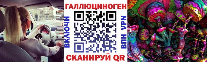 купить наркотики сайты  Тверь  Псилоцибиновые грибы Cubensis 